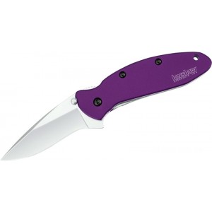 Kershaw 1620PUR Ken Onion Scallion Assisted Flipper Knife 2.25" Bead Blast Plain Blade, Purple Aluminum Handles KnifeKer79