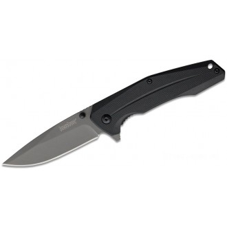 Kershaw 1360 Asteroid Assisted Flipper Knife 3.3" Titanium Carbo-Nitride Coated 8Cr13MoV Drop Point Blade, Black GFN Handles KnifeKer83