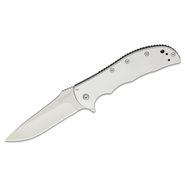 Kershaw 3655 Volt Assisted 3-7/16" Bead-Blasted Plain Blade, Stainless Steel Handles KnifeKer162