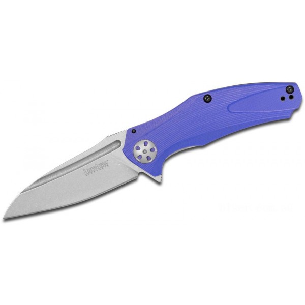 Kershaw 7007BLU Natrix Assisted Flipper Knife 3.25" Stonewashed Drop Point Blade, Blue G10 Handles KnifeKer197