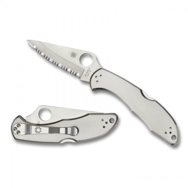 Spyderco Delica 4 Stainless Steel Combintaion Edge Folding Knife KnifeSP60